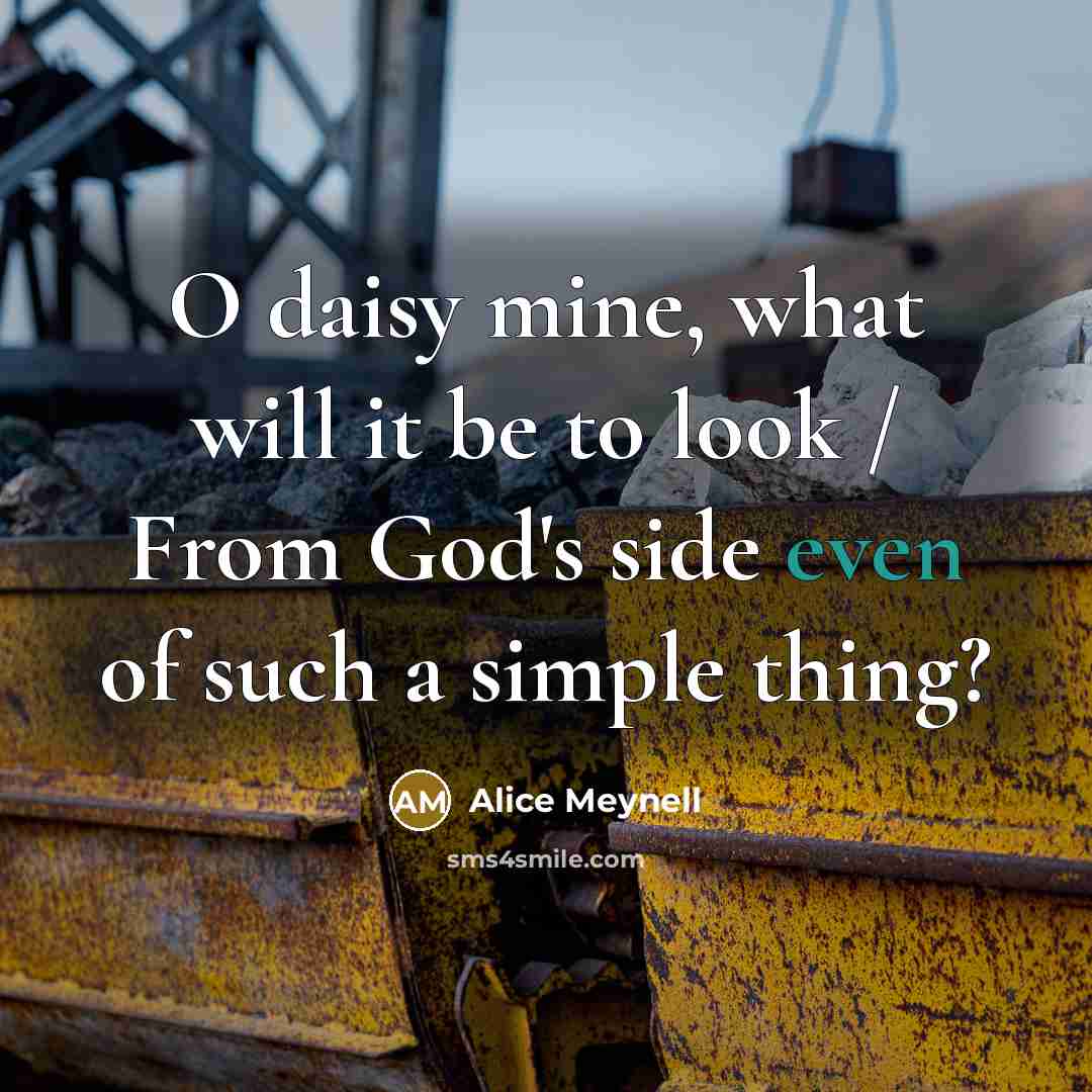 “O daisy mine, what will it be to look /…” quote by Alice Meynell