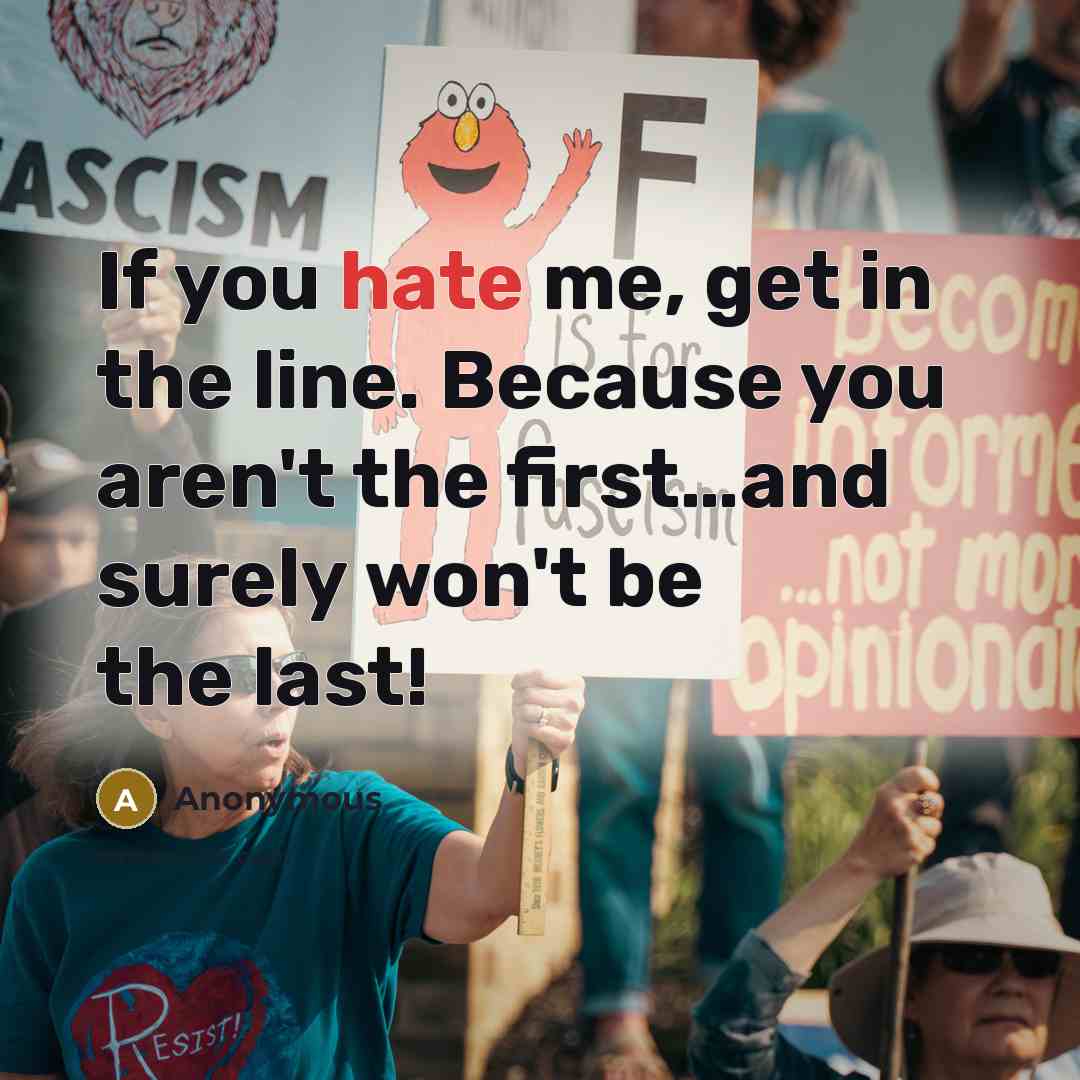 “If you hate me, get in the line. Because you…” quote by Anonymous