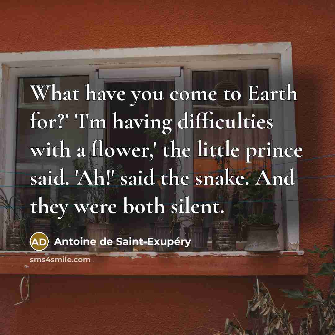 “What have you come to Earth for?' 'I'm having difficulties…” quote by Antoine de Saint-Exupery