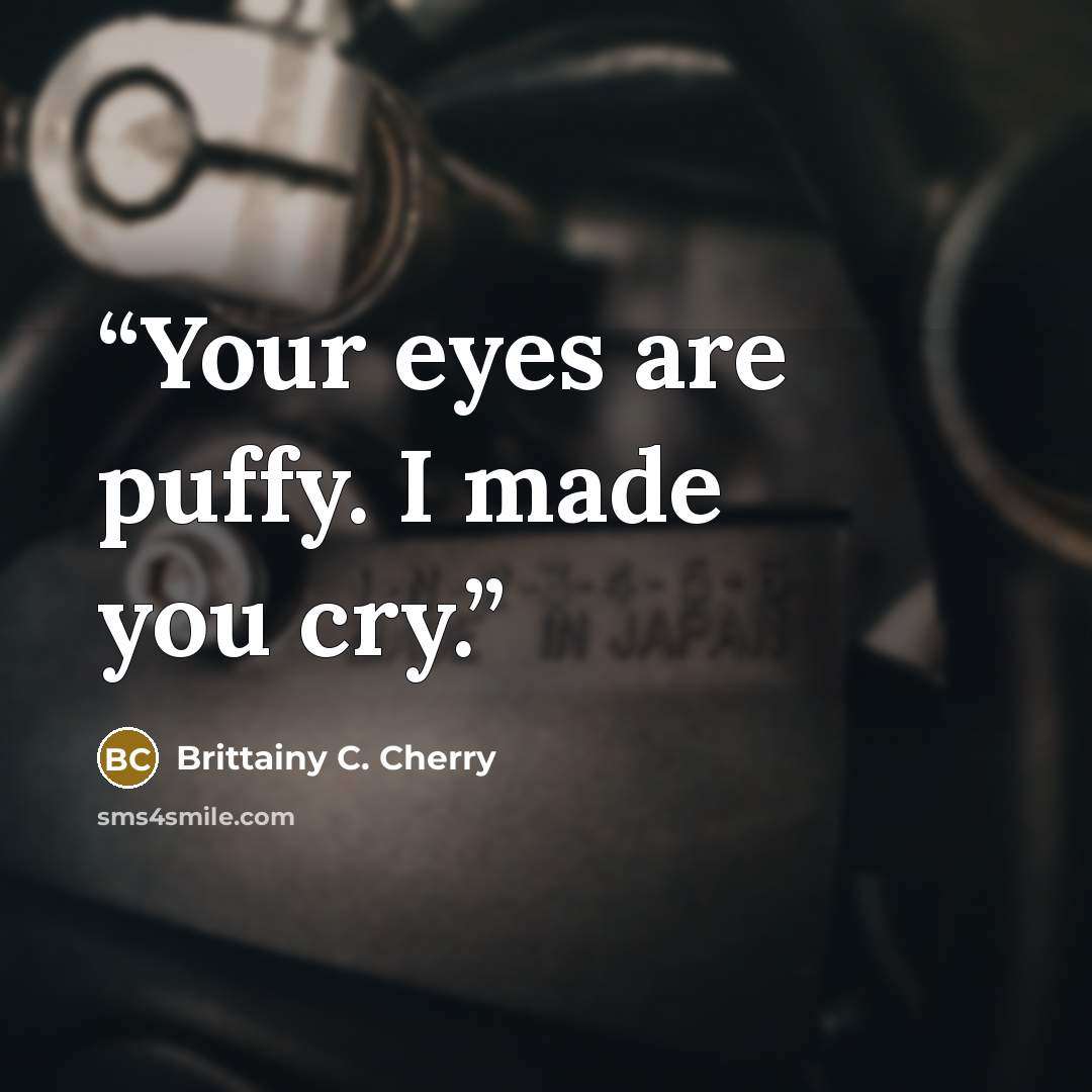 “Your eyes are puffy. I made you cry.” quote by Brittainy C. Cherry