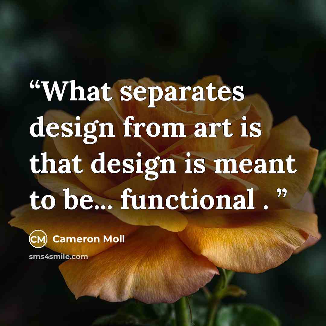 “What separates design from art is that design is meant to be... functional .” quote by Cameron Moll
