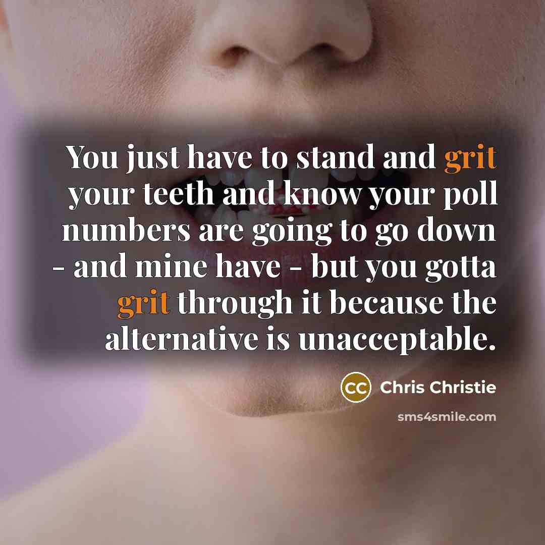 “You just have to stand and grit your teeth and…” quote by Chris Christie