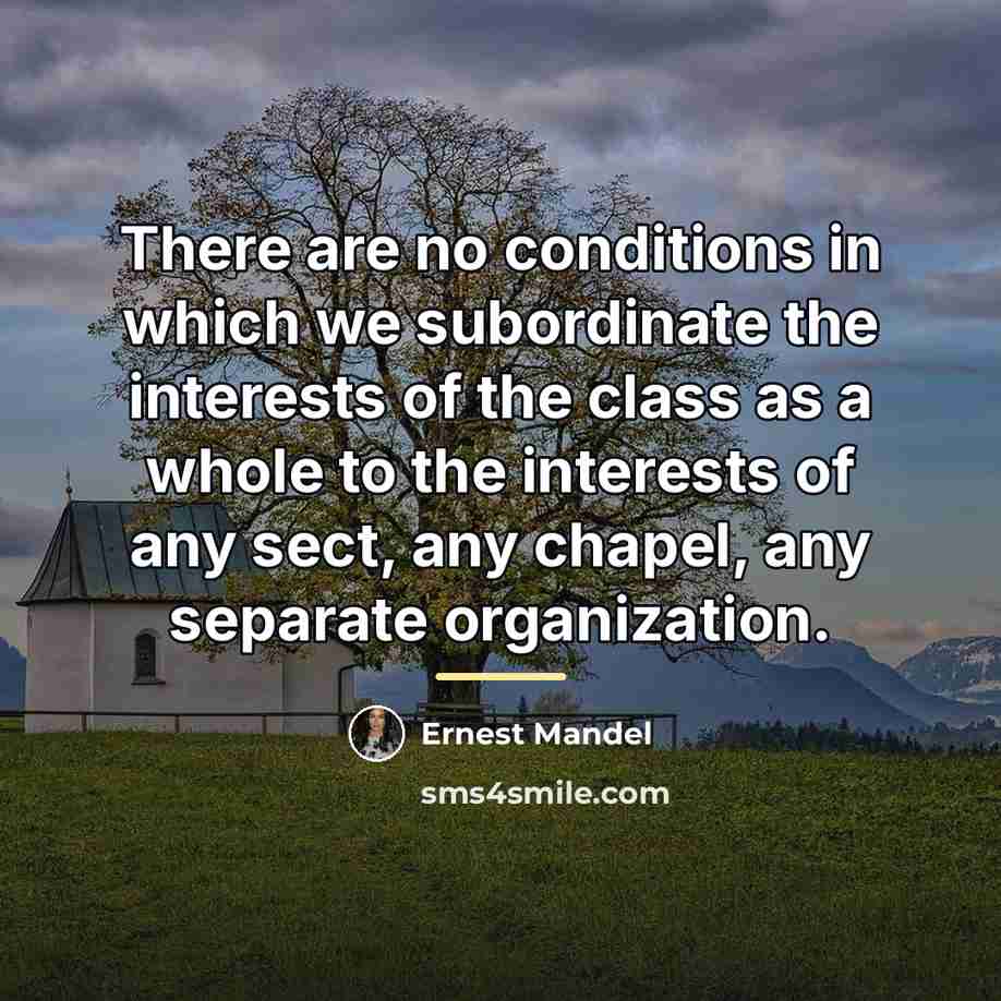 “There are no conditions in which we subordinate the interests…” quote by Ernest Mandel