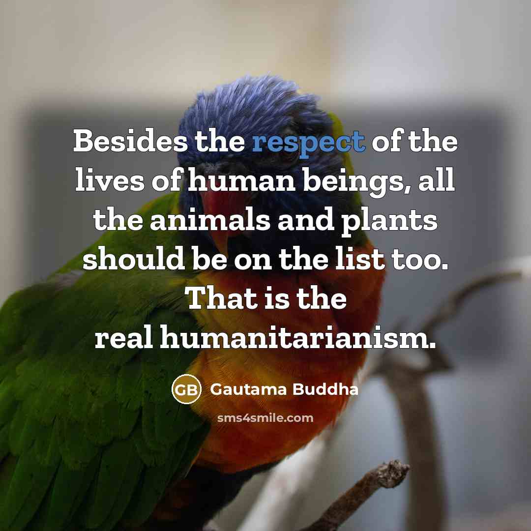 “Besides the respect of the lives of human beings, all…” quote by Gautama Buddha