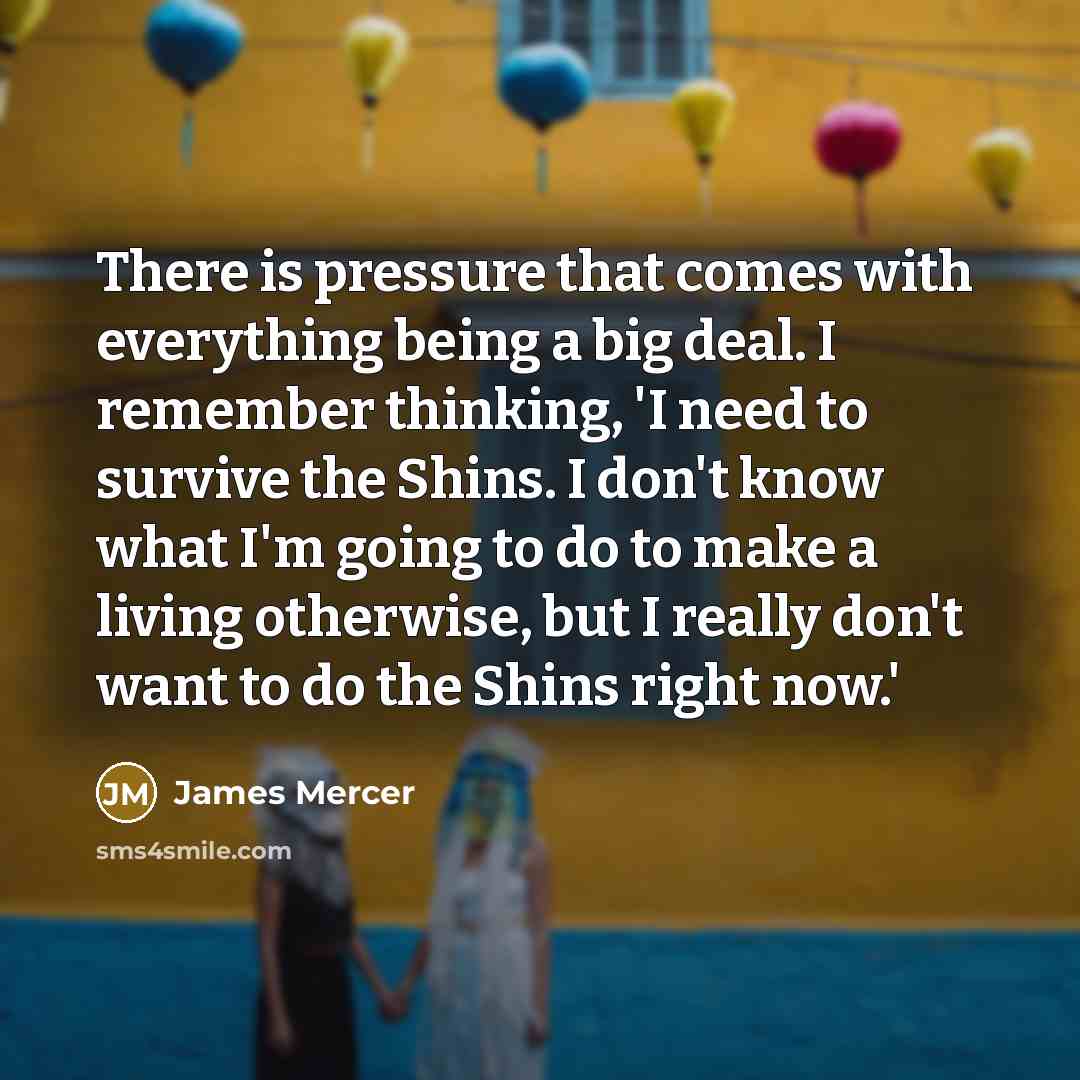 “There is pressure that comes with everything being a big…” quote by James Mercer