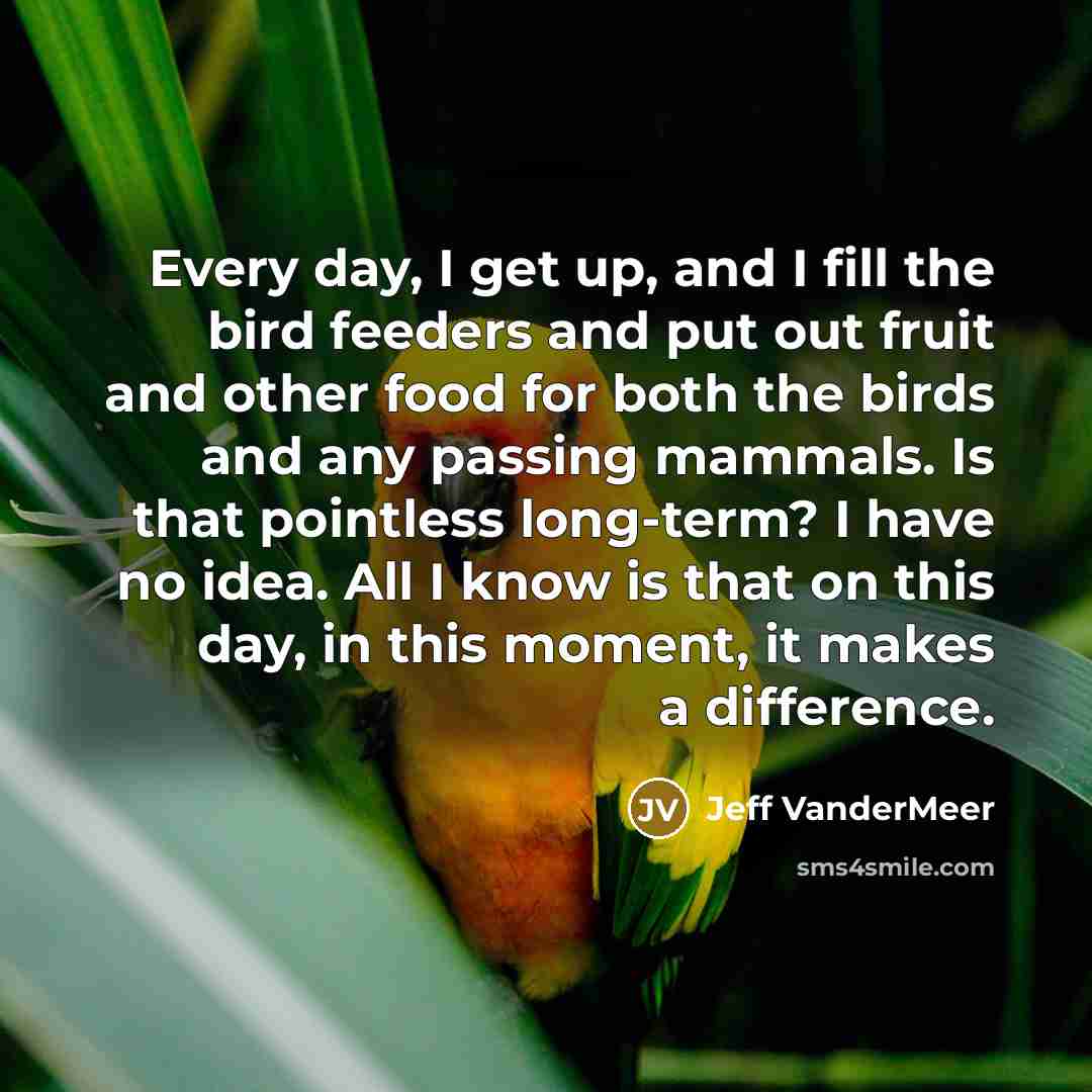 “Every day, I get up, and I fill the bird…” quote by Jeff Vandermeer