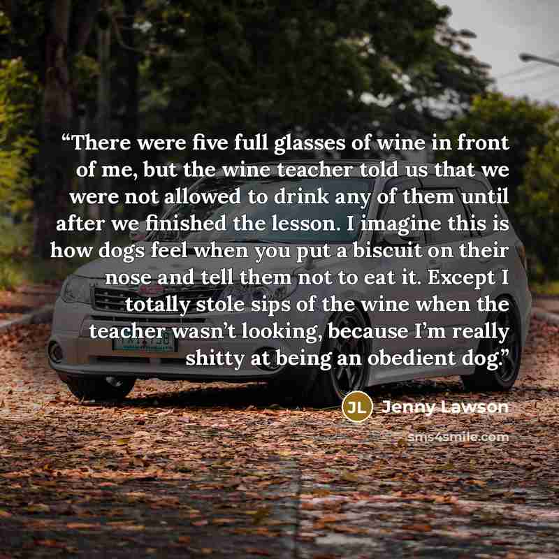“There were five full glasses of wine in front of me, but the wine teacher told us that we were not allowed to drink any of them until after we finished the lesson. I imagine this is how dogs feel when you put a biscuit on their nose and tell them not to eat it. Except I totally stole sips of the…” quote by Jenny Lawson