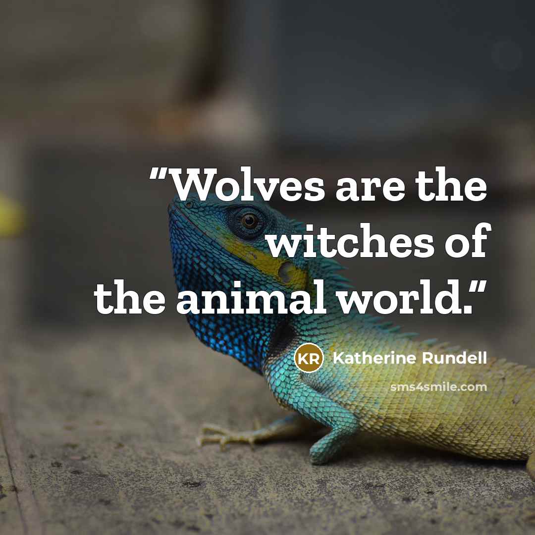 “Wolves are the witches of the animal world.” quote by Katherine Rundell