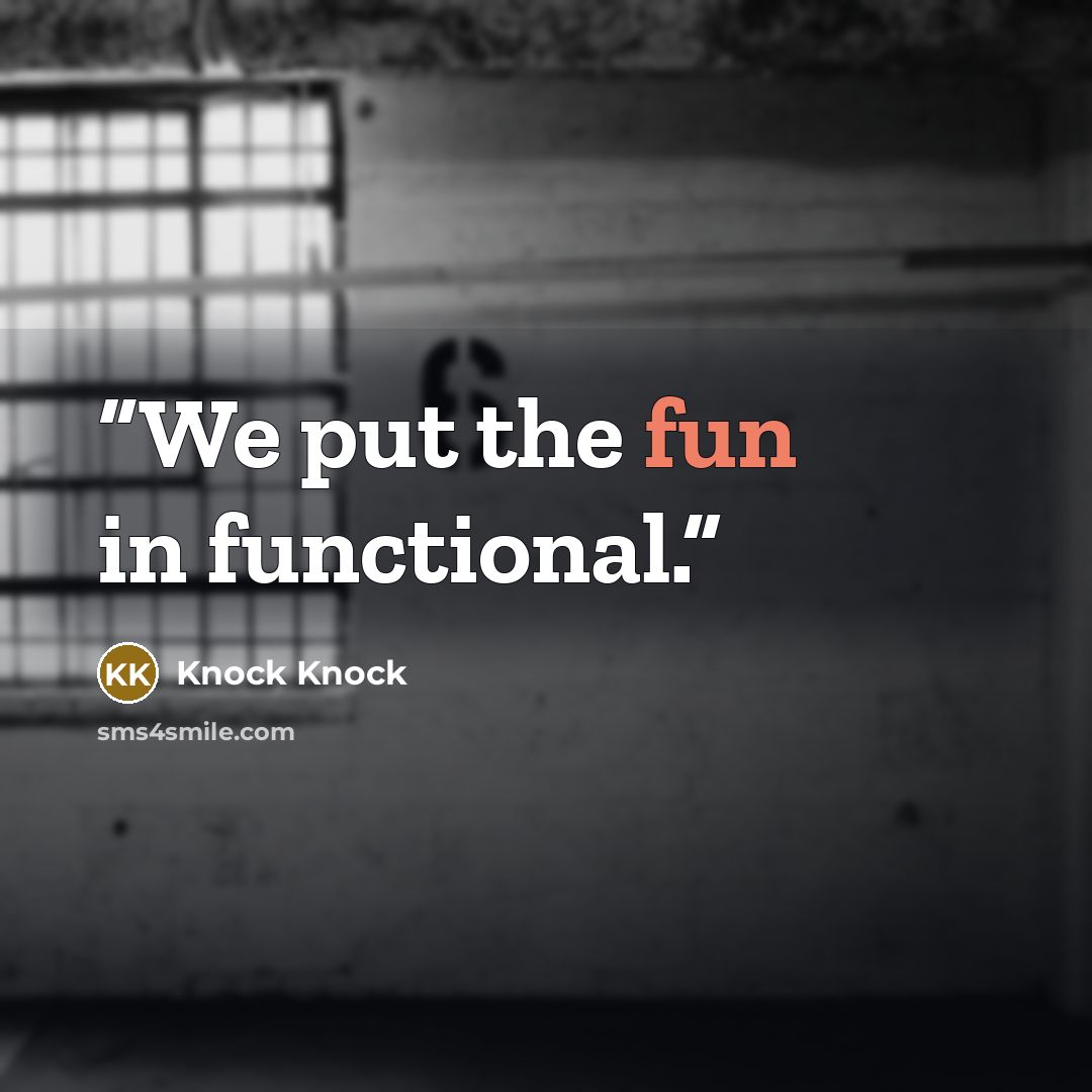 “We put the fun in functional.” quote by Knock Knock