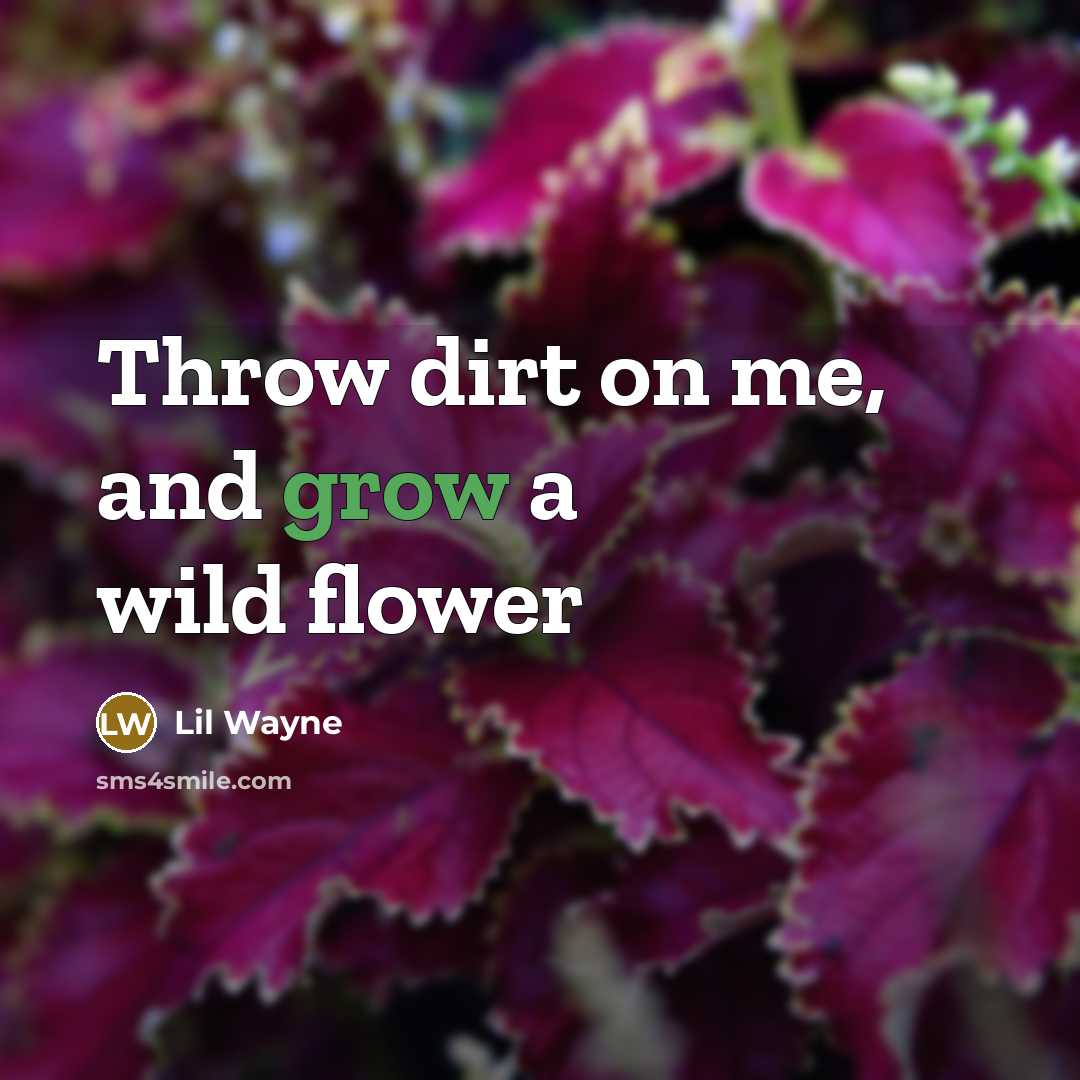 “Throw dirt on me, and grow a wild flower…” quote by Lil Wayne