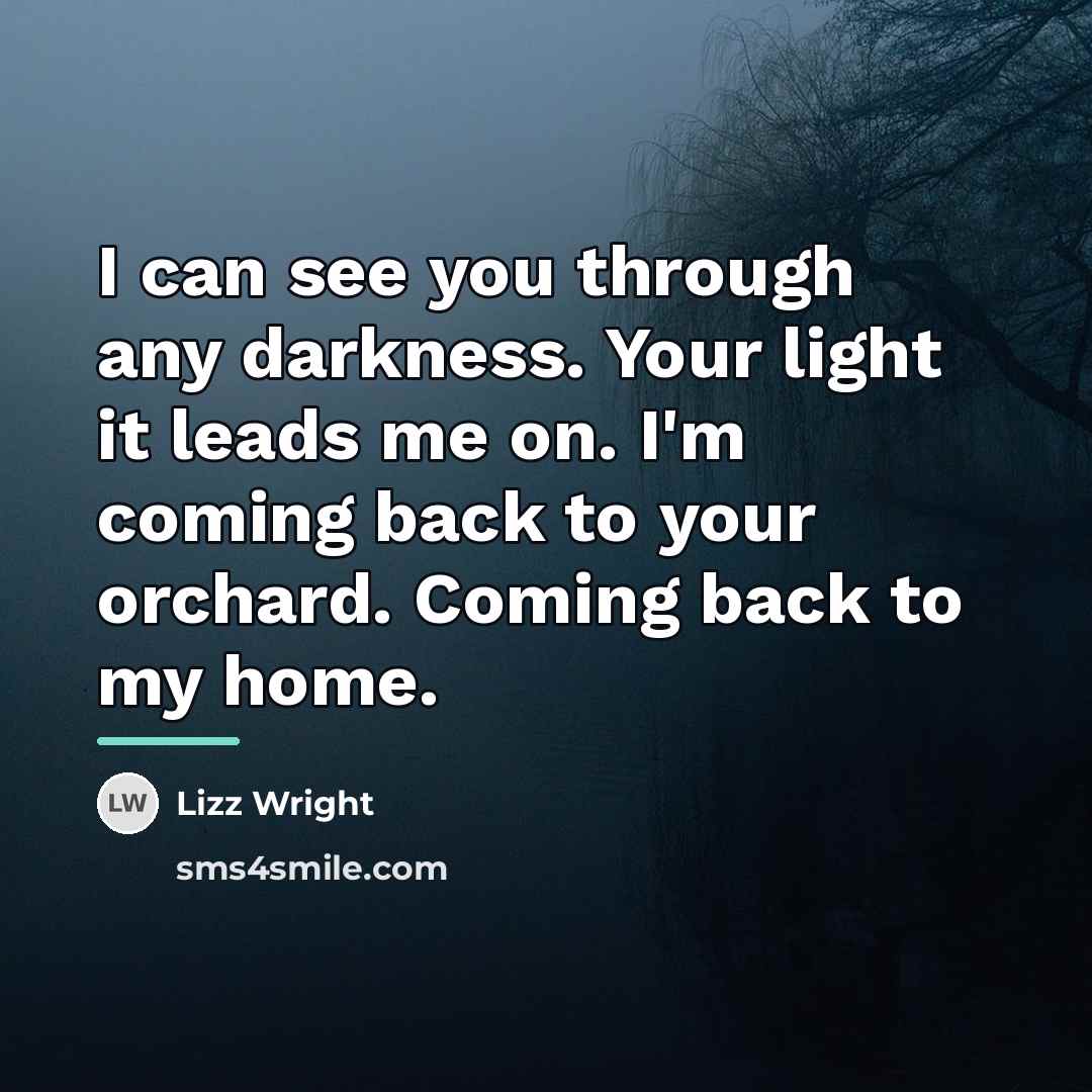 “I can see you through any darkness. Your light it…” quote by Lizz Wright