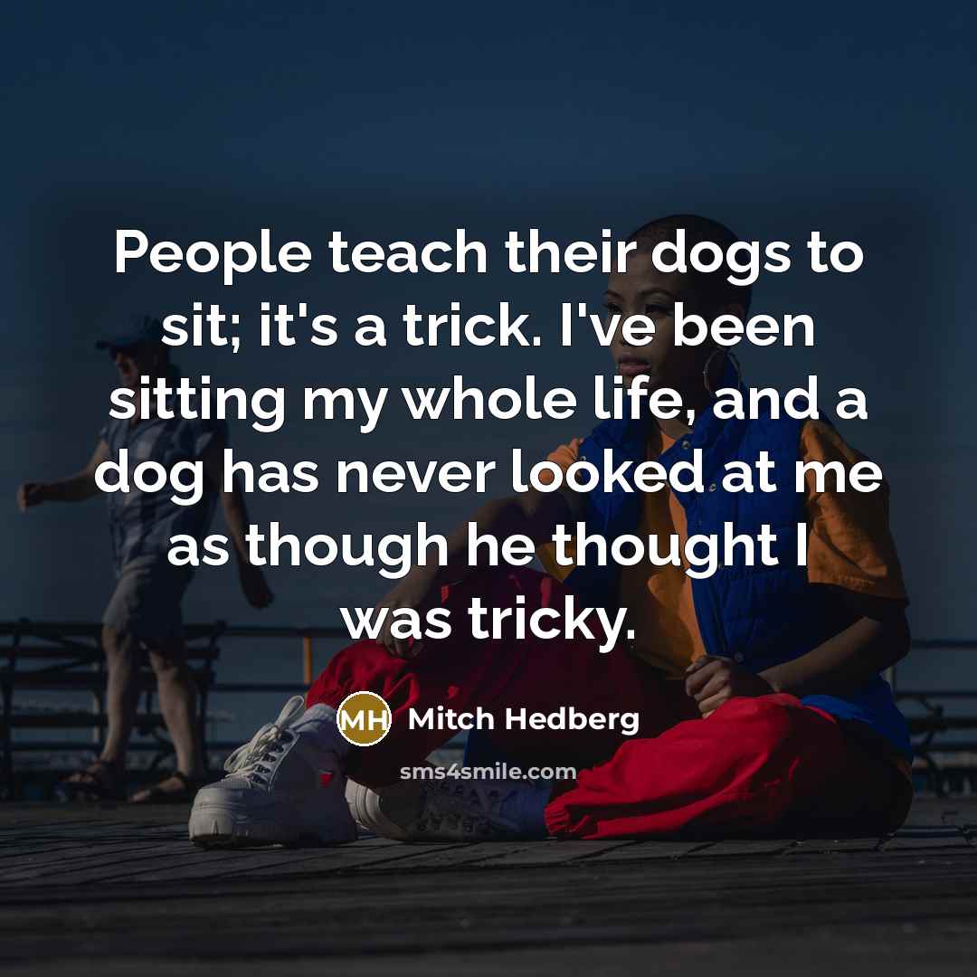 “People teach their dogs to sit; it's a trick. I've…” quote by Mitch Hedberg