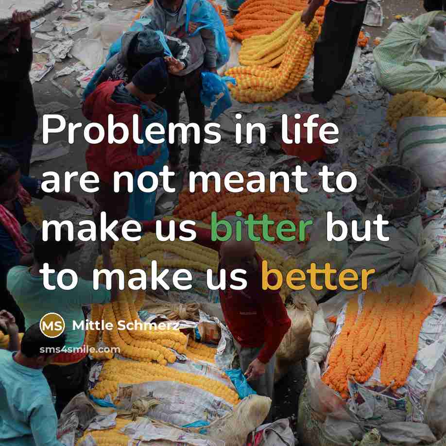 “Problems in life are not meant to make us bitter but to make us better” quote by Mittle Schmerz