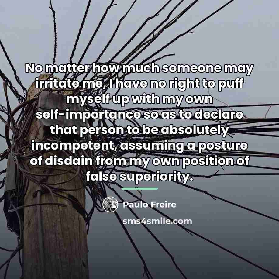 “No matter how much someone may irritate me, I have…” quote by Paulo Freire
