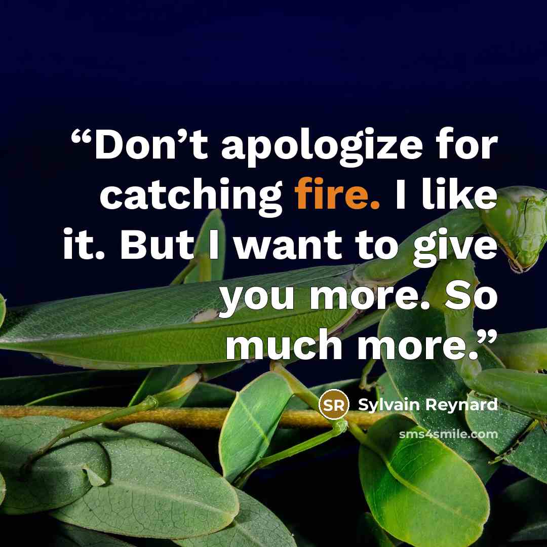 “Don’t apologize for catching fire. I like it. But I want to give you more. So much more.” quote by Sylvain Reynard