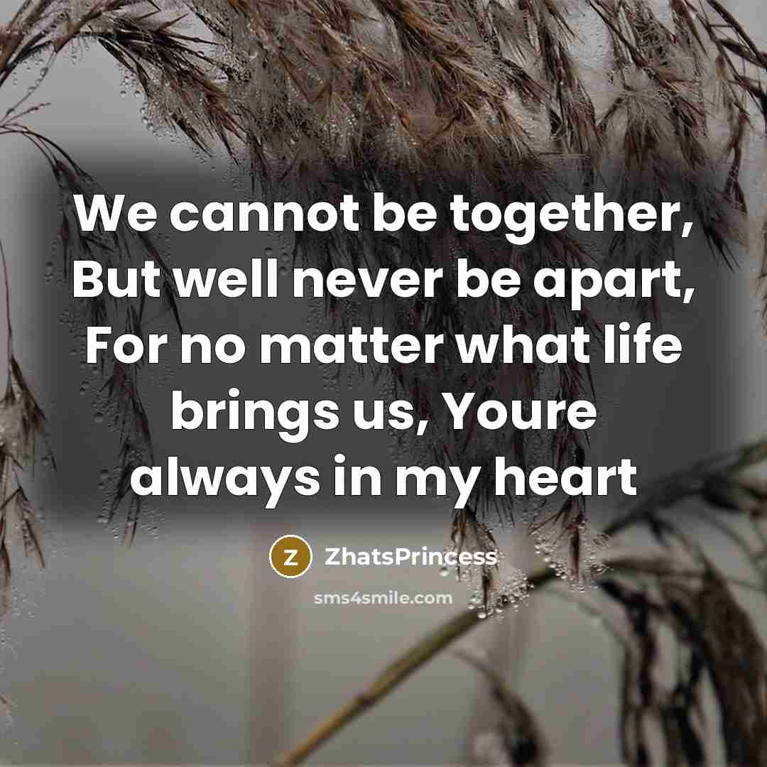 “We cannot be together, But well never be apart, For no matter what life brings us, Youre always in my heart” quote by ZhatsPrincess