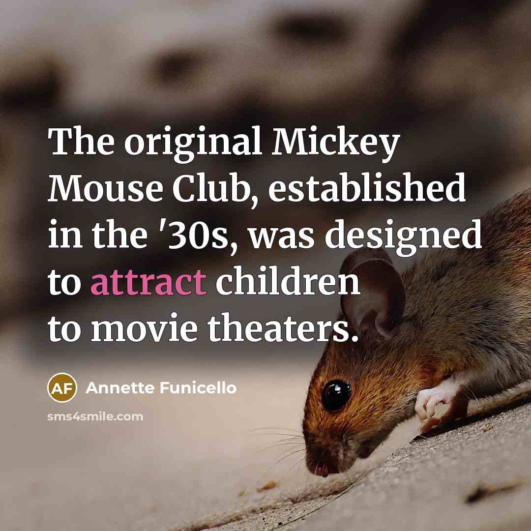 “The original Mickey Mouse Club, established in the '30s, was…” quote by Annette Funicello
