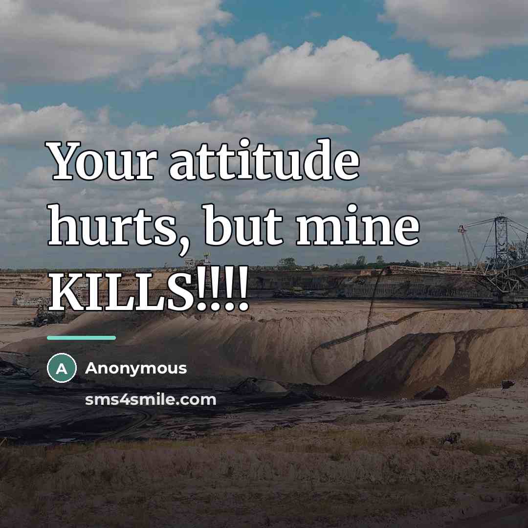 “Your attitude hurts, but mine KILLS!!!!…” quote by Anonymous