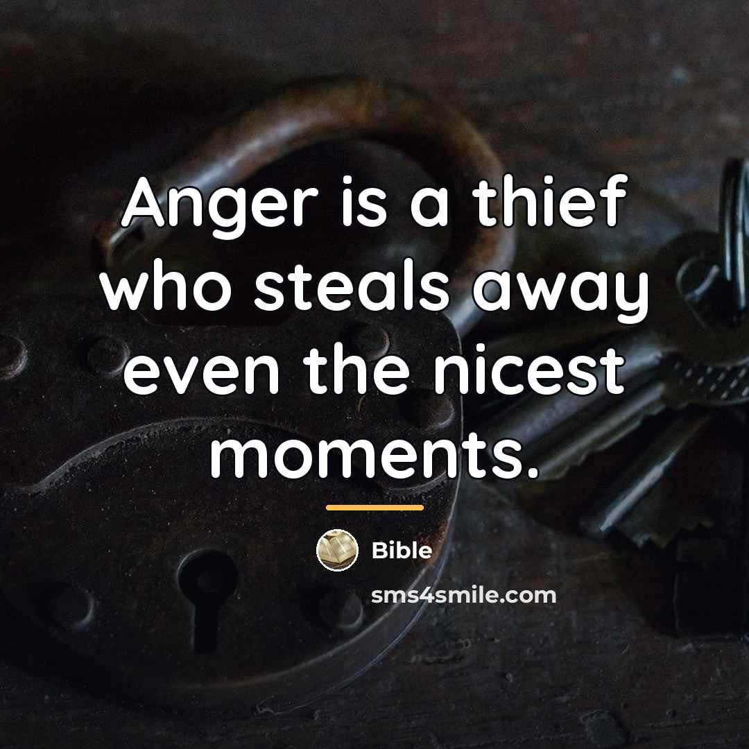 “Anger is a thief who steals away even the nicest…” quote by Bible