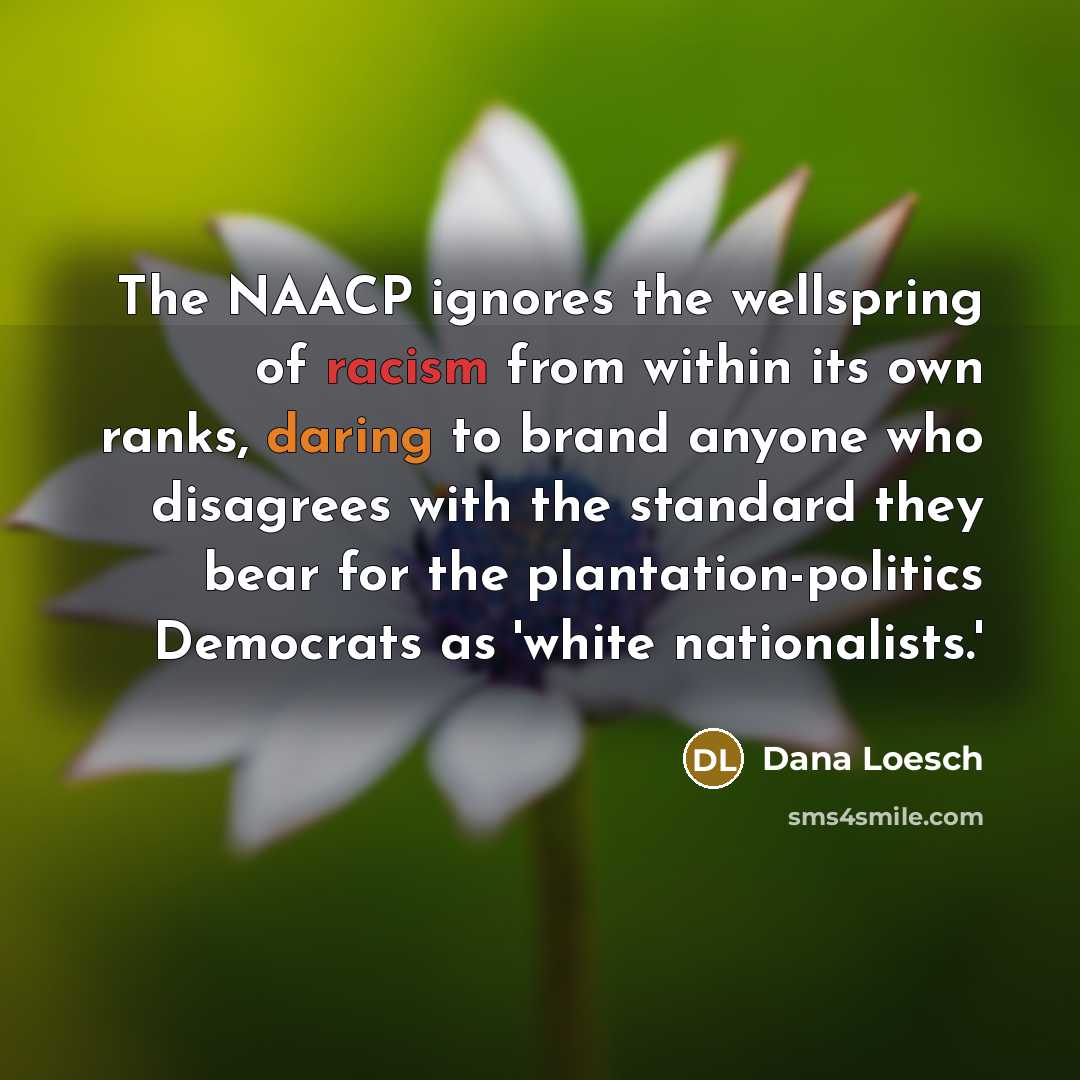 “The NAACP ignores the wellspring of racism from within its…” quote by Dana Loesch
