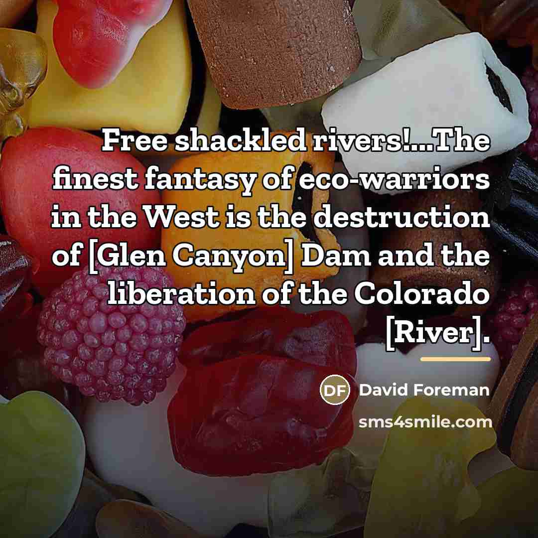 “Free shackled rivers!...The finest fantasy of eco-warriors in the West…” quote by David Foreman