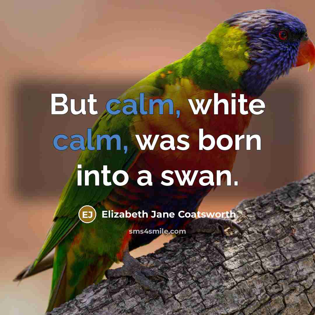 “But calm, white calm, was born into a swan.” quote by Elizabeth Jane Coatsworth