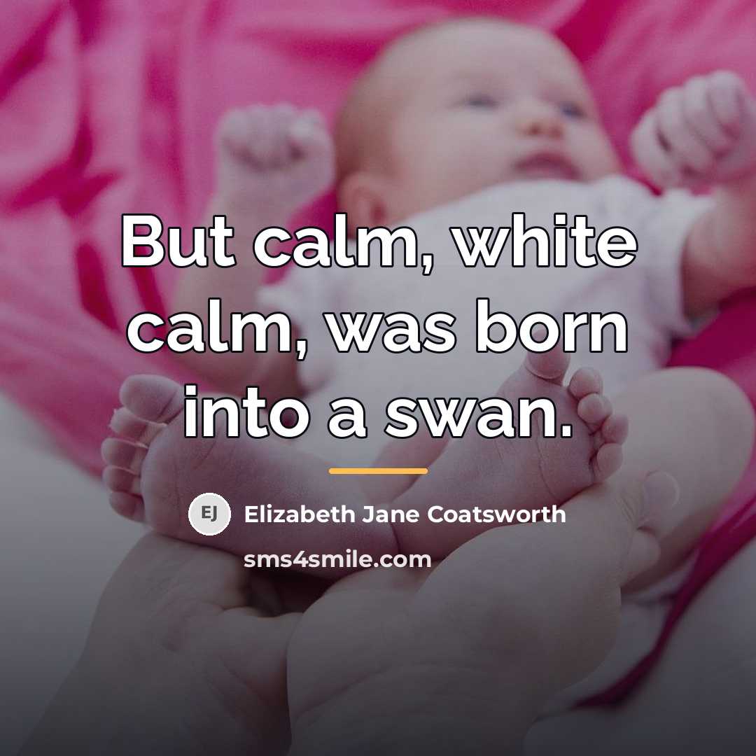 “But calm, white calm, was born into a swan.…” quote by Elizabeth Jane Coatsworth