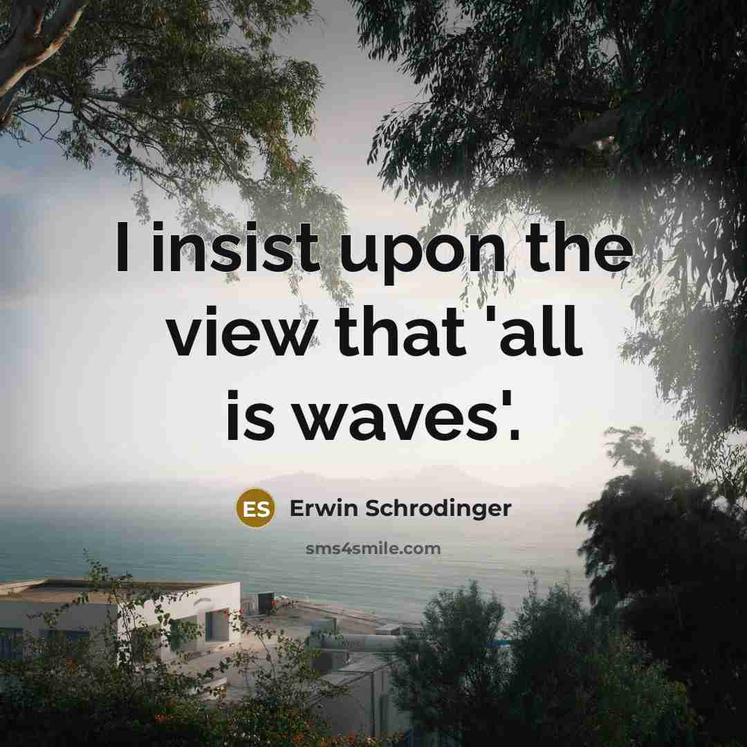 “I insist upon the view that 'all is waves'.” quote by Erwin Schrodinger