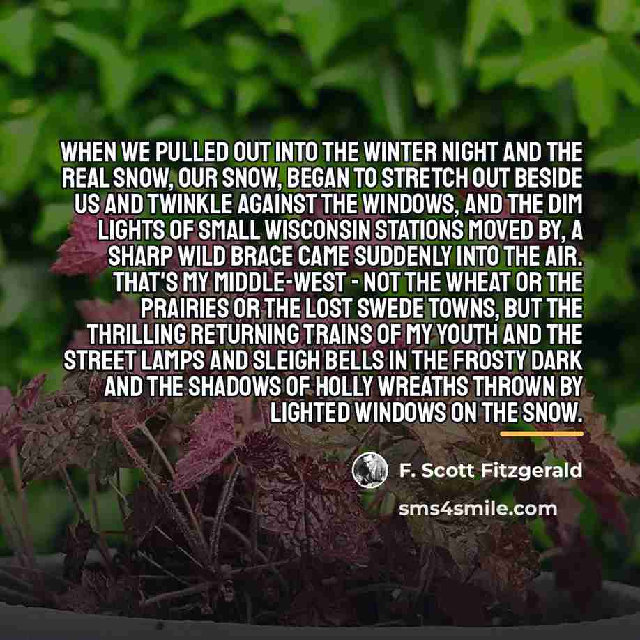 “When we pulled out into the winter night and the…” quote by F. Scott Fitzgerald
