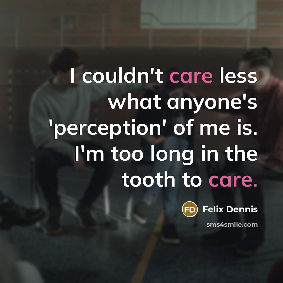 “I couldn't care less what anyone's 'perception' of me is.…” quote by Felix Dennis