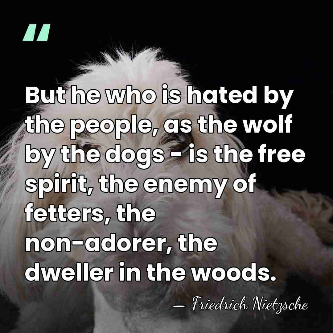 But he who is hated by the people, as the wolf by&hellip; - Friedrich Nietzsche