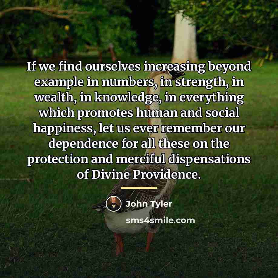 “If we find ourselves increasing beyond example in numbers, in…” quote by John Tyler
