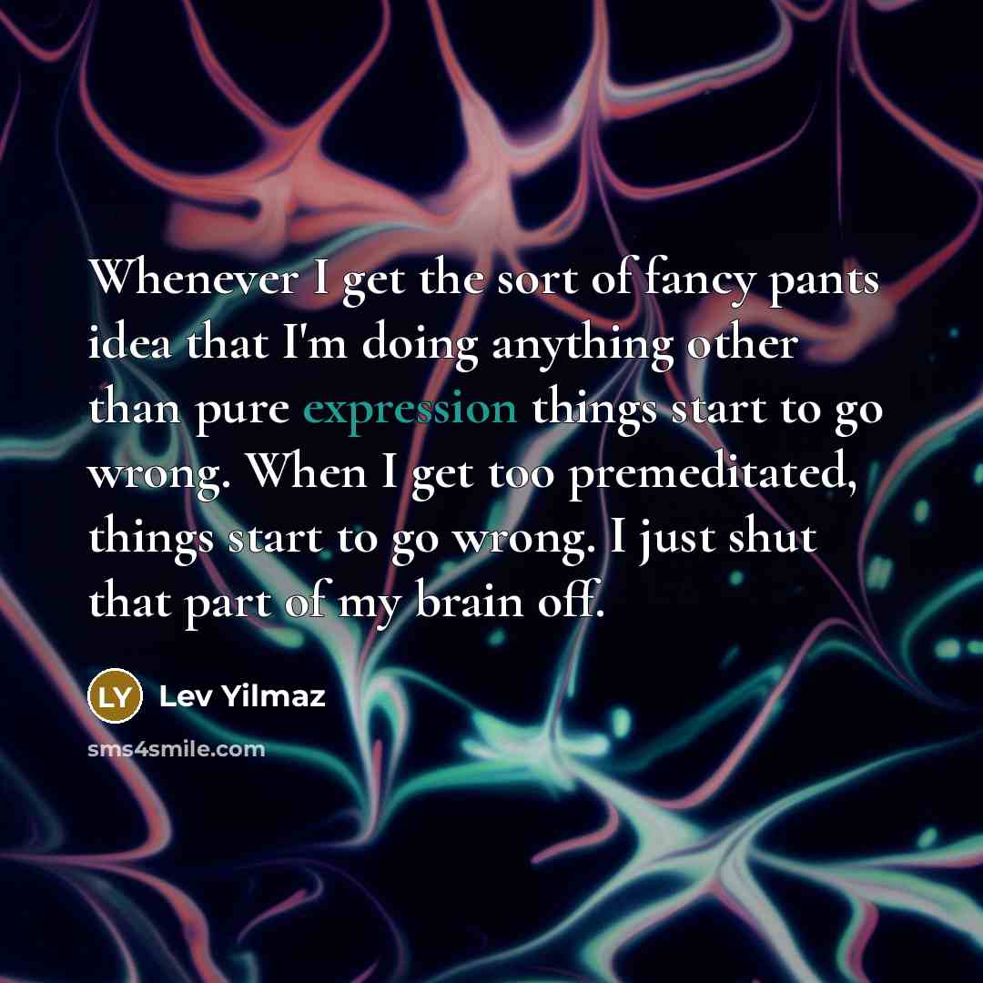 “Whenever I get the sort of fancy pants idea that…” quote by Lev Yilmaz