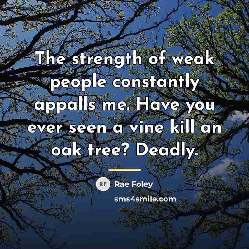 “The strength of weak people constantly appalls me. Have you…” quote by Rae Foley