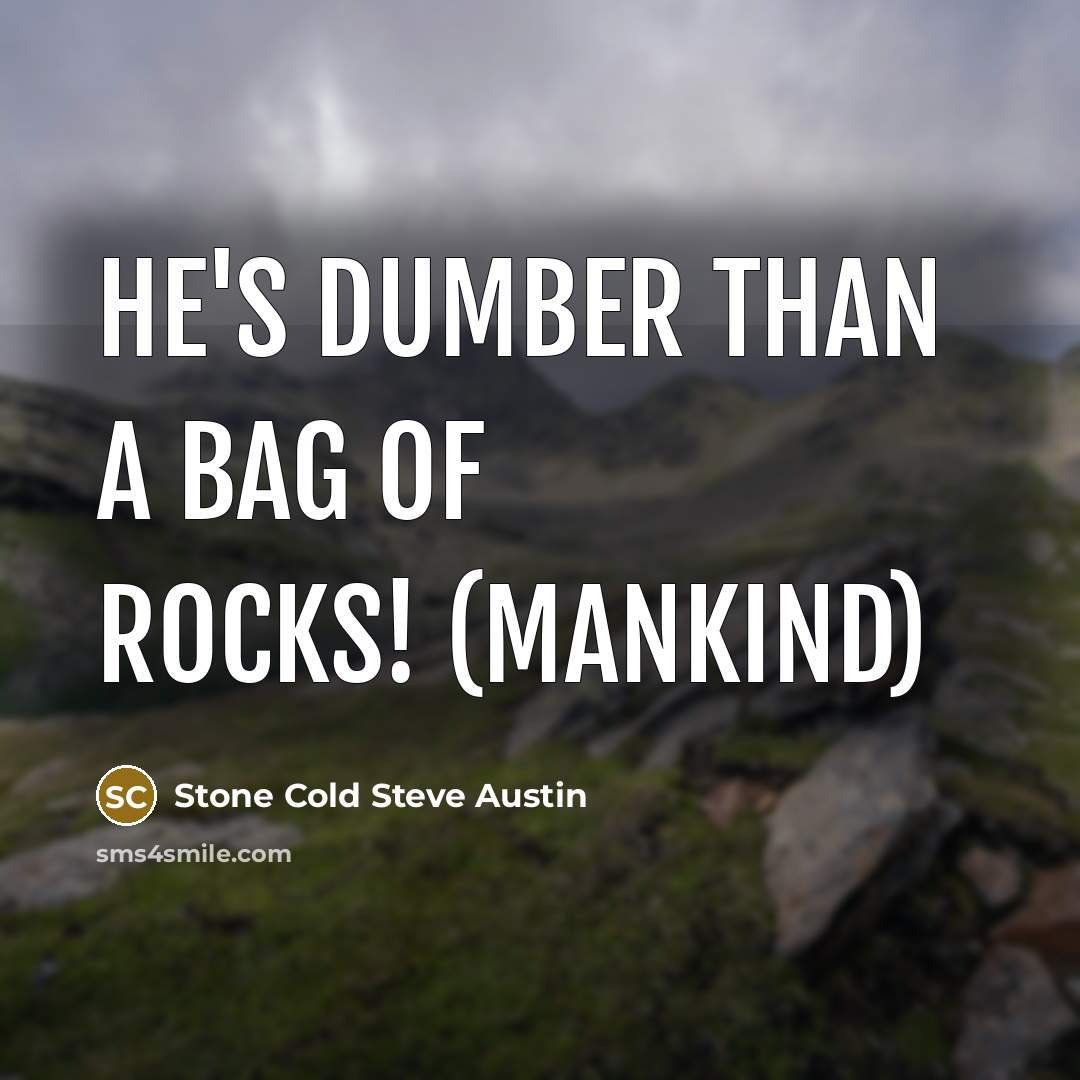 “He's dumber than a bag of rocks! (Mankind)” quote by Stone Cold Steve Austin