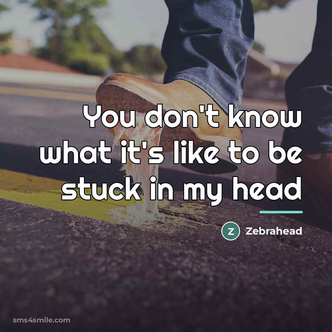 “You don't know what it's like to be stuck in…” quote by Zebrahead