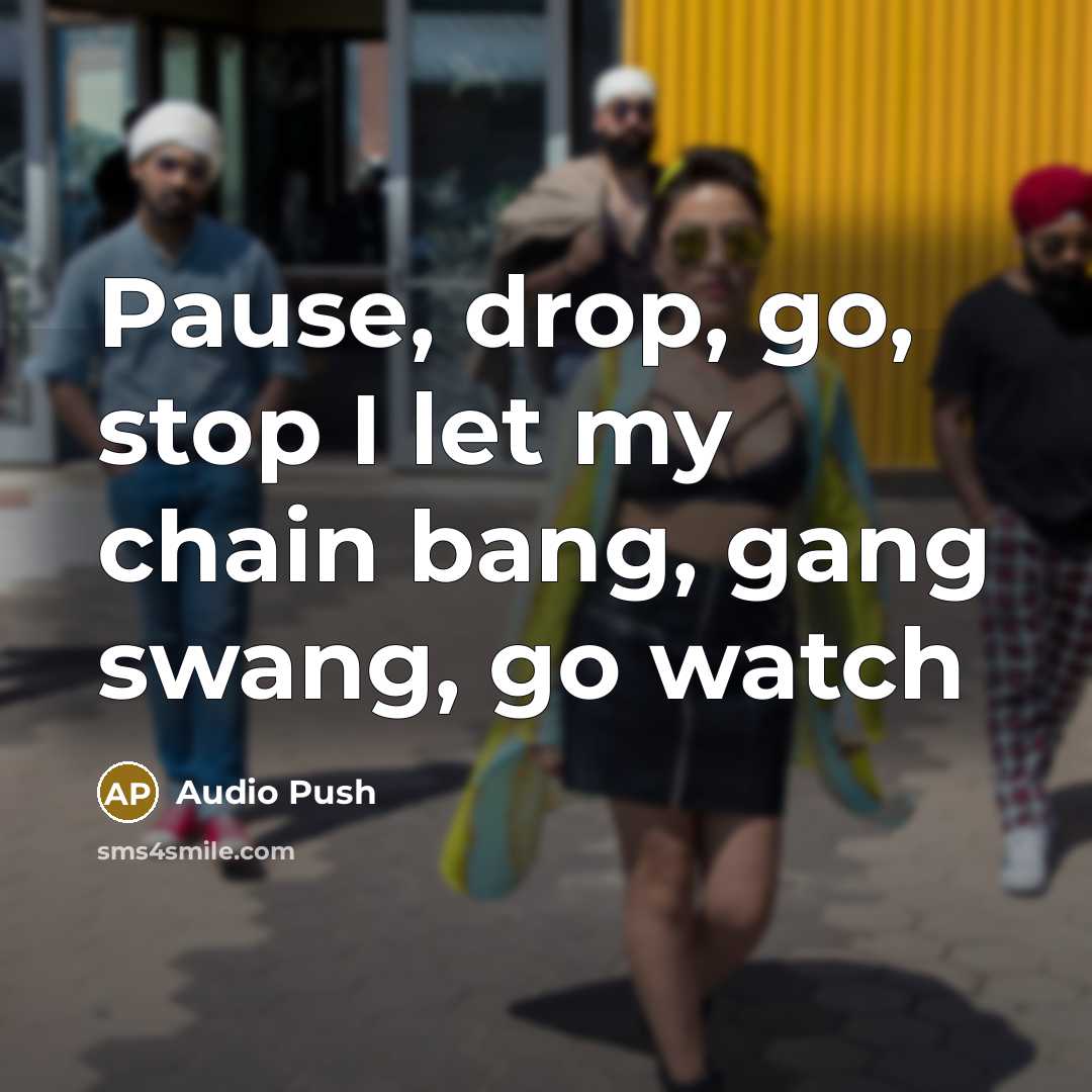 “Pause, drop, go, stop I let my chain bang, gang…” quote by Audio Push