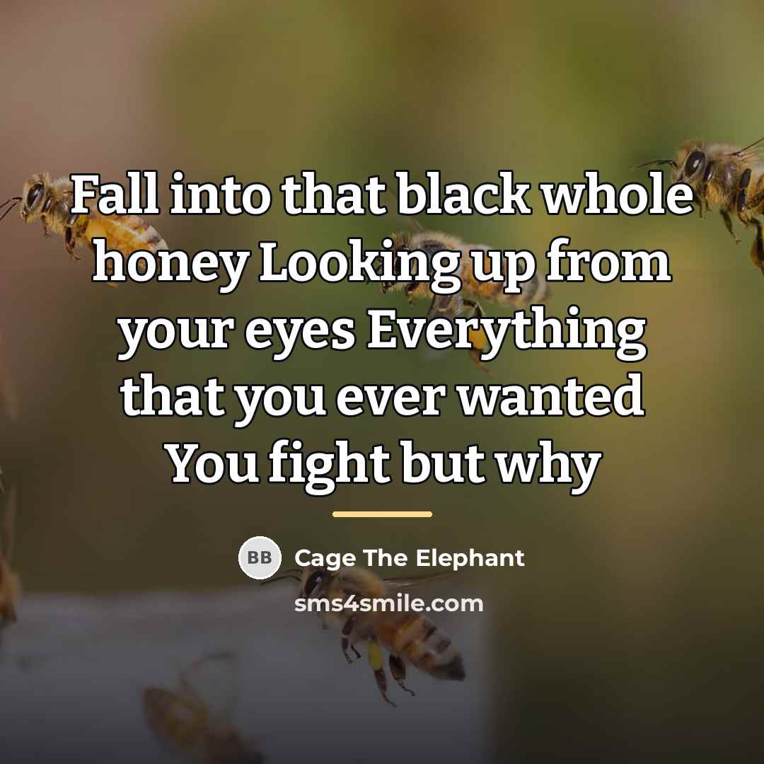 “Fall into that black whole honey Looking up from your…” quote by Cage The Elephant