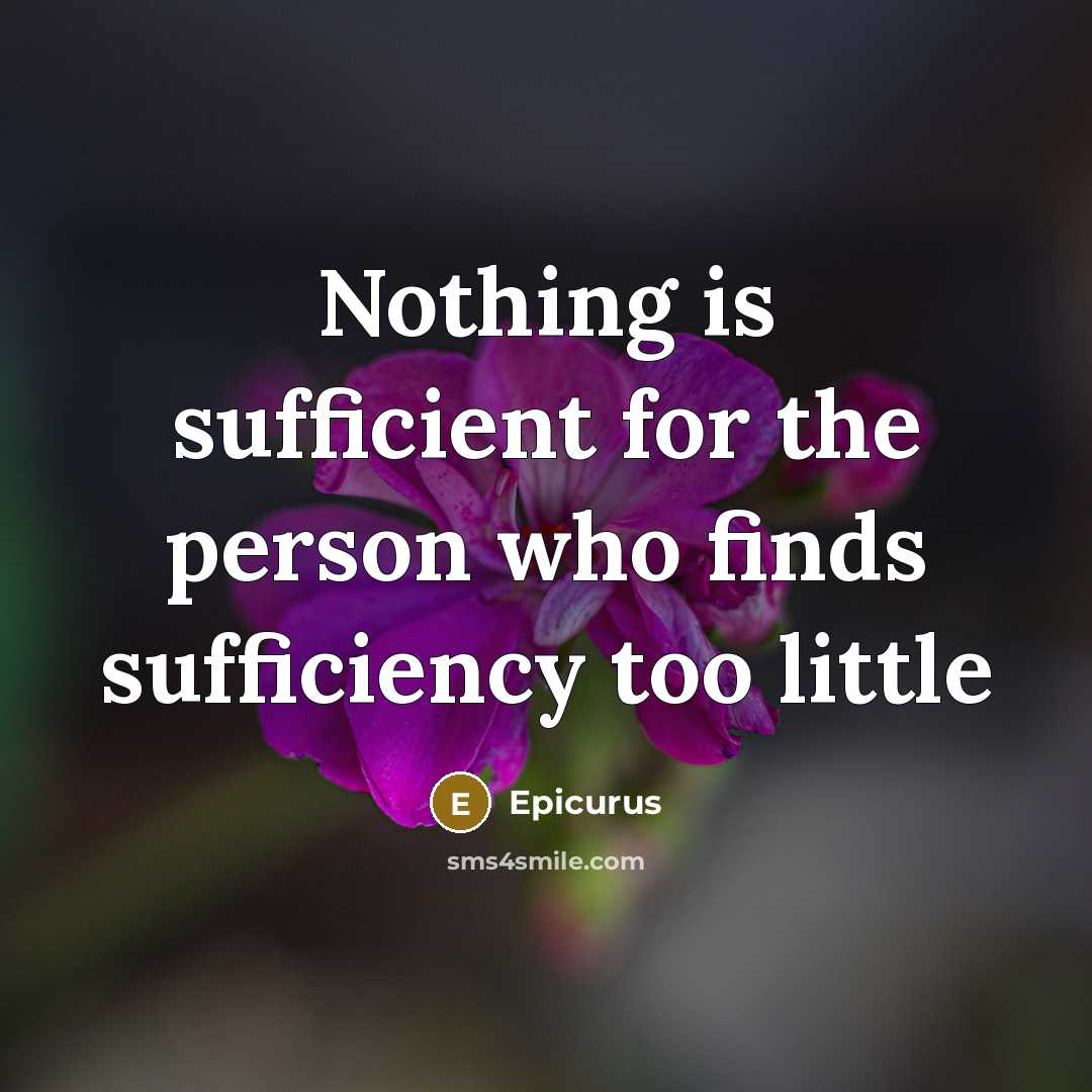 “Nothing is sufficient for the person who finds sufficiency too…” quote by Epicurus
