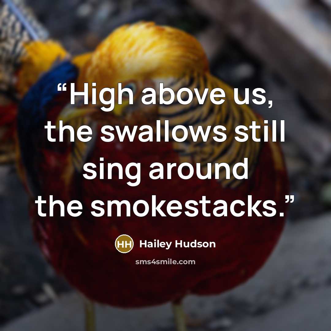 “High above us, the swallows still sing around the smokestacks.” quote by Hailey Hudson