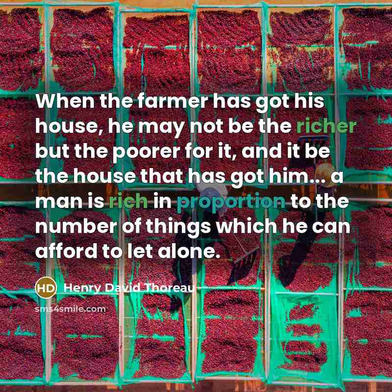 “When the farmer has got his house, he may not be the richer but the poorer for it, and it be the house that has got him... a man is rich in proportion to the number of things which he can afford to let alone.” quote by Henry David Thoreau