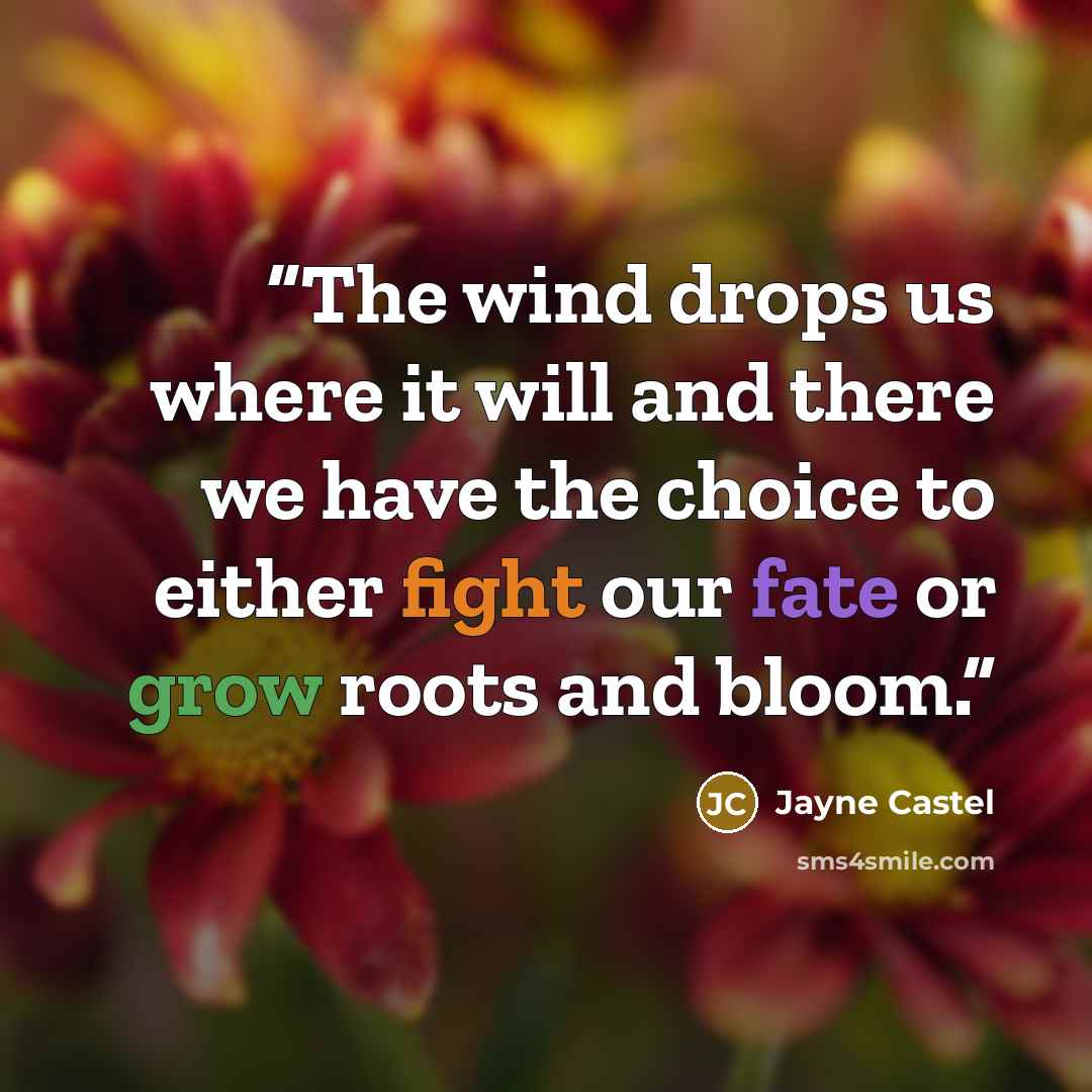 “The wind drops us where it will and there we have the choice to either fight our fate or grow roots and bloom.” quote by Jayne Castel