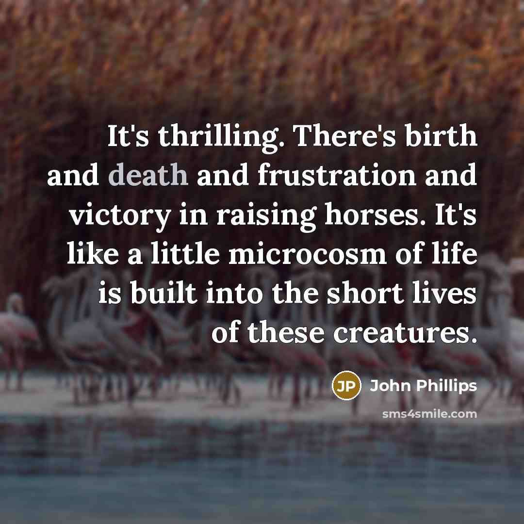 “It's thrilling. There's birth and death and frustration and victory…” quote by John Phillips