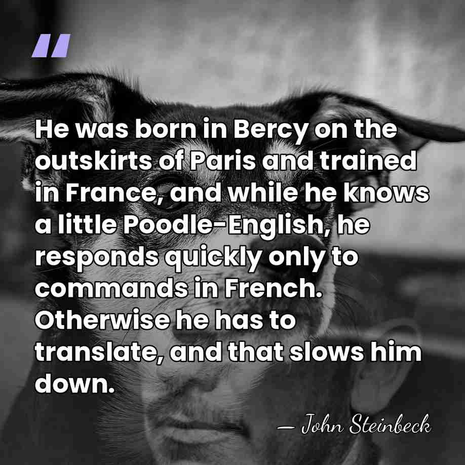 He was born in Bercy on the outskirts of Paris and trained&hellip; - John Steinbeck
