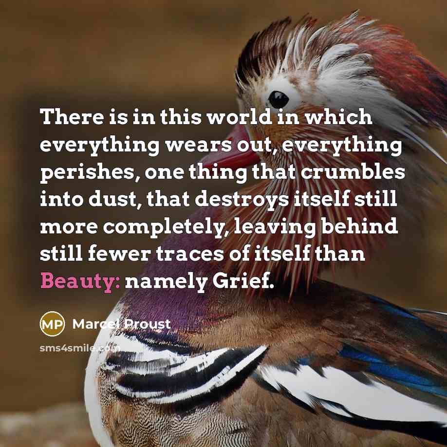 “There is in this world in which everything wears out,…” quote by Marcel Proust