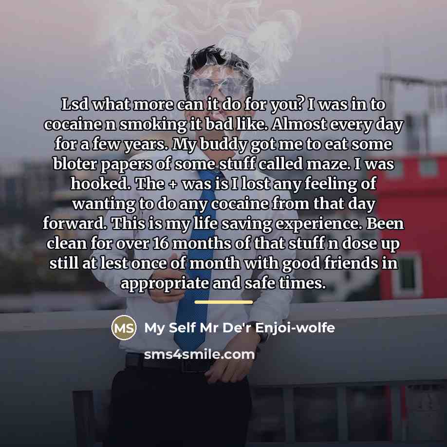 “Lsd what more can it do for you? I was…” quote by My Self Mr De'r Enjoi-wolfe