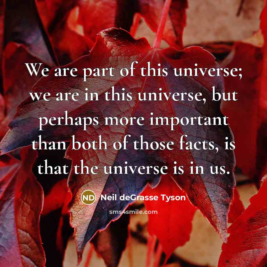 “We are part of this universe; we are in this…” quote by Neil deGrasse Tyson