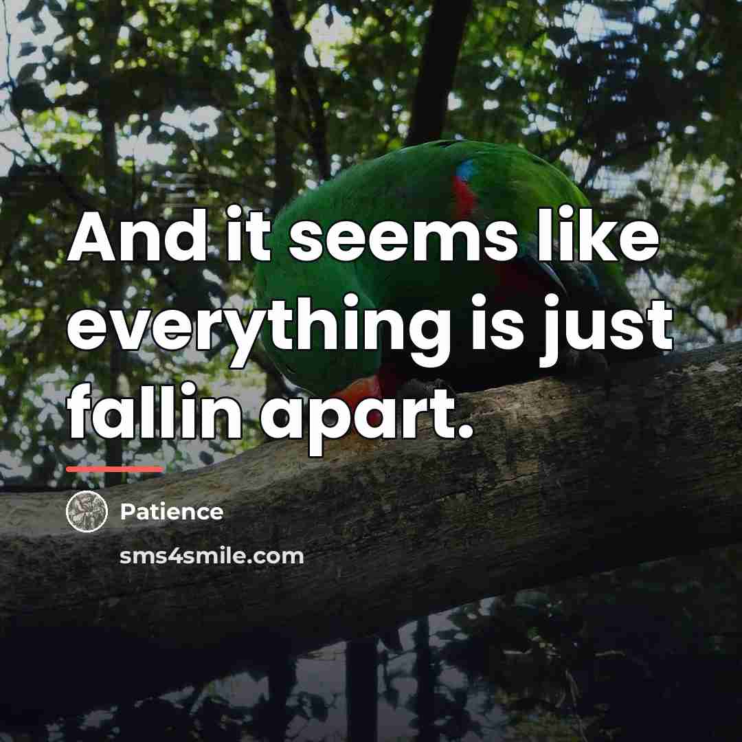 “And it seems like everything is just fallin apart.…” quote by Patience