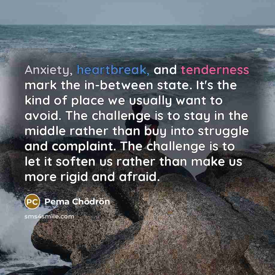 “Anxiety, heartbreak, and tenderness mark the in-between state. It's the…” quote by Pema Chodron