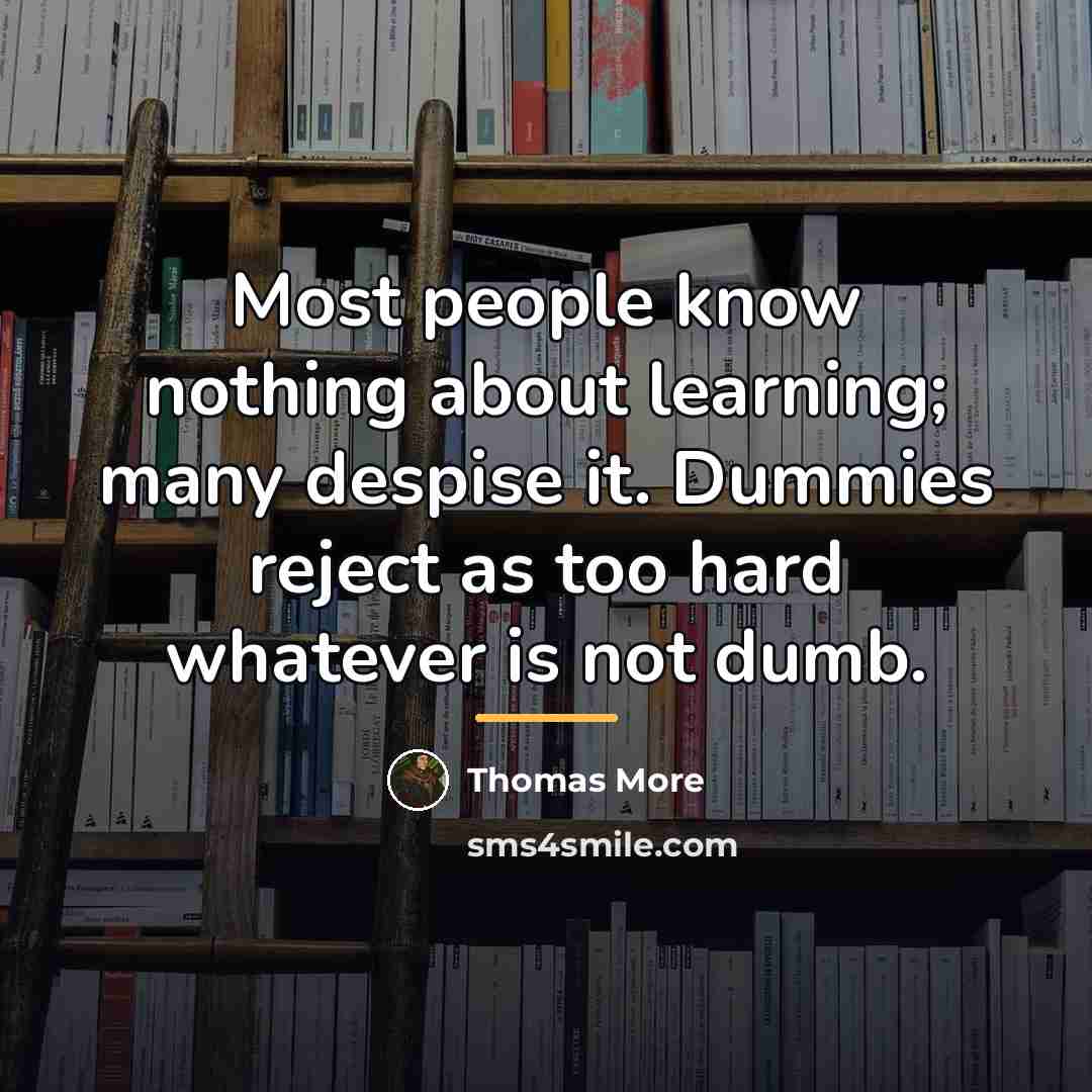 “Most people know nothing about learning; many despise it. Dummies…” quote by Thomas More